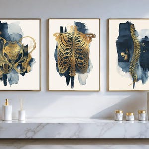 May include: A set of three wall art prints featuring gold anatomical illustrations of a human pelvis, rib cage, and spine set against abstract navy blue and white watercolor brushstrokes on a light cream background.