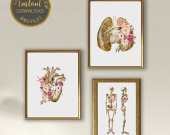 Láminas de anatomía, arte mural médico floral, paquete de láminas anatómicas, decoración para consultorio médico, regalo para estudiantes de medicina, descarga digital
