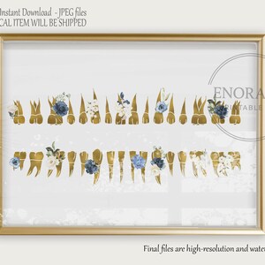 tooth anatomy art
