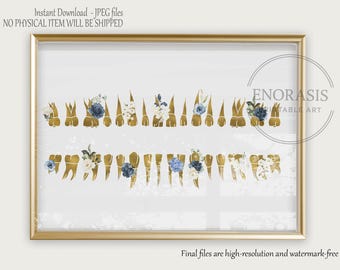 歯科解剖学ポスター6枚セット 歯科ポスター 歯の構造図 歯の番号 歯科