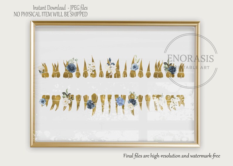 tooth anatomy art