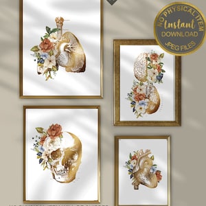 Set of 4 Prints Anatomy Art Set, Brain Art Print, Anatomy Poster, Set of 4 Wall Art, Medical Art, Floral Art Print, Skull Decor, Heart Art