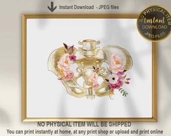 Pelvis Anatomy Art Print, Pelvis and Uterus Print, Doula & Midwife, Birth Education Poster, Pelvic Bones Illustration (Digital Download)