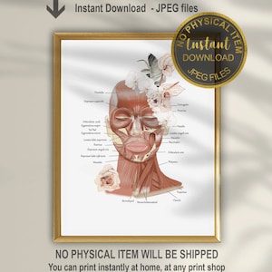 Stampa dei muscoli facciali, Arte dell'anatomia facciale, Arte della chirurgia plastica, Poster di Botox, Arte dell'iniettore cosmetico, Arte stampabile, Decorazione spa medica, Arte anatomica