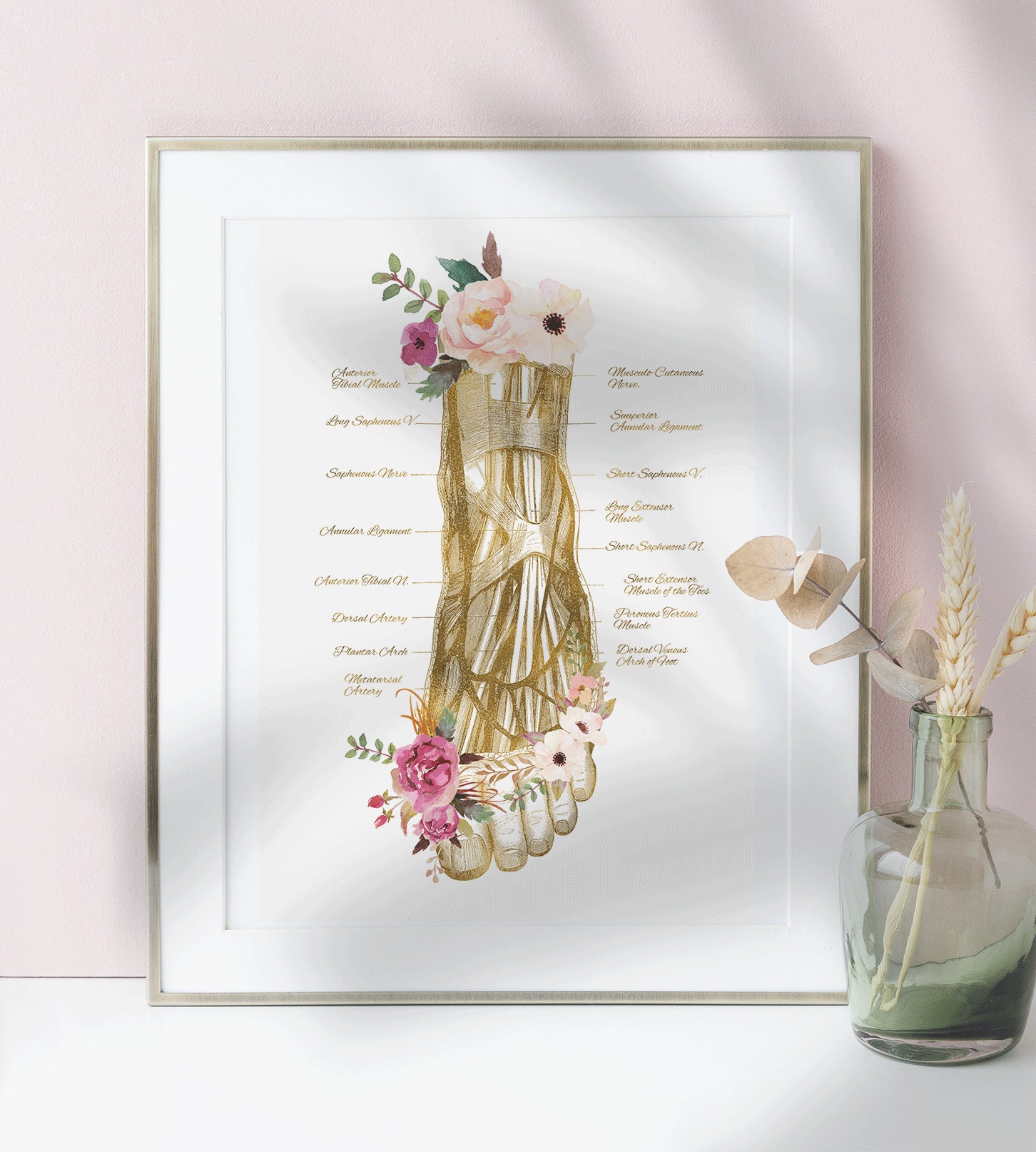 Human Foot Anatomy Art Orthopedic Surgery Gift Podiatrist - Etsy