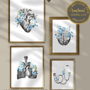 Anatomy Art Prints - Medical Poster & Human Anatomy Wall Art, Printable Diagram Illustration for Medical Students Decor
