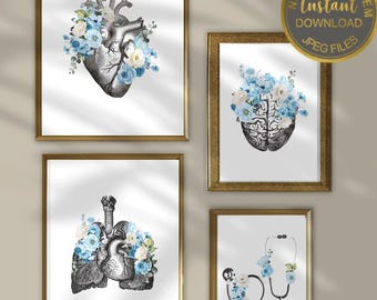 Láminas de anatomía, decoración médica floral, pósteres de anatomía del corazón, cerebro y columna vertebral, arte mural médico, imprimible para consultorio médico.