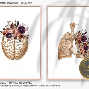 Lungs Art, Brain Print, Doctor Gift, Medical Art Set, Printable Anatomy Art, Anatomical Art, Nurse Office Decor, Doctor Graduation Gift