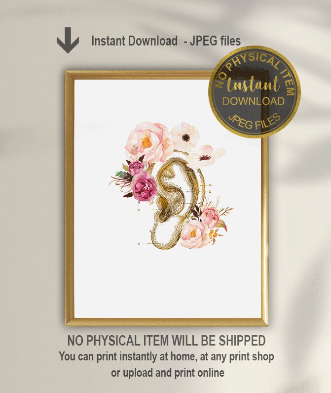 Human Ear Anatomy Print, Audiology, Audiologist, AUD Graduation, Hearing  Doctor Gift, Hearing Doctor Office Decor, Otolaryngology, AUD, Ear