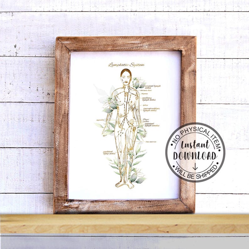 May include: Printable illustration of the lymphatic system with a female figure outlined in gold and green watercolor leaves. The text "Lymphatic System" is at the top of the image. The image has a white background and a brown frame.