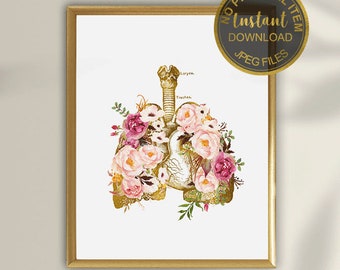 Lámina de anatomía humana: póster de anatomía pulmonar, arte mural médico sobre el sistema respiratorio para consultorios médicos, decoración de neumología