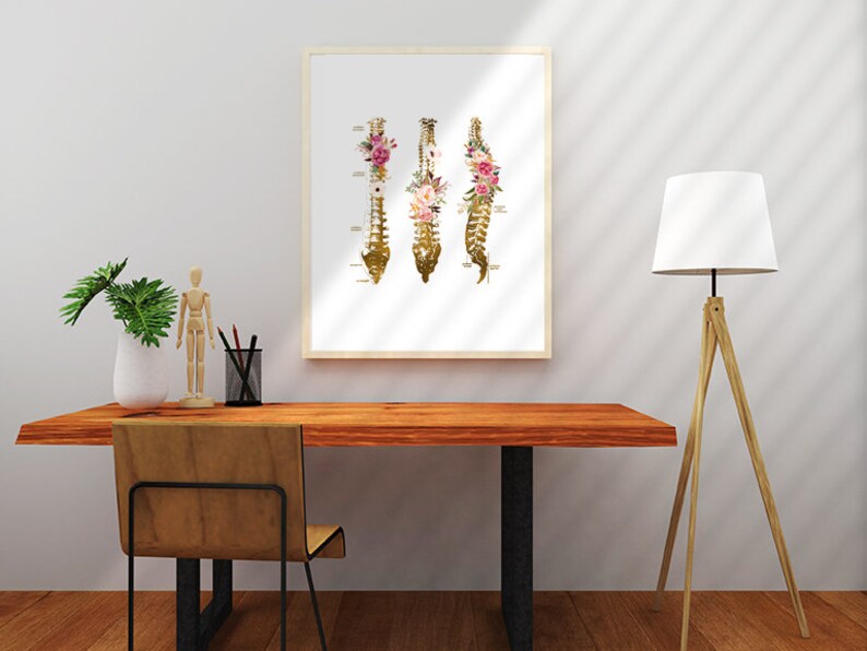 Puede incluir: Una impresi&oacute;n enmarcada de una ilustraci&oacute;n anat&oacute;mica dorada de la columna vertebral humana con acentos florales. La columna vertebral est&aacute; dividida en tres secciones, cada una con un arreglo floral diferente. La impresi&oacute;n est&aacute; sobre un fondo blanco y tiene un marco de madera simple.