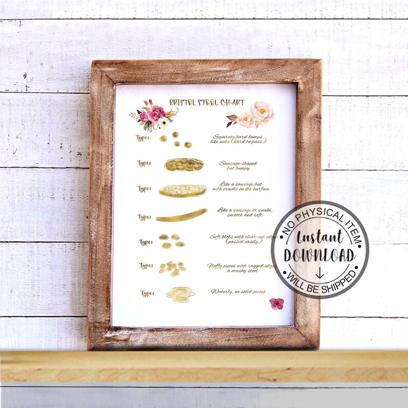 Bristol Stool Chart Printable, Poop Chart Bathroom Decor, Digestive