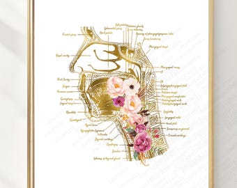 May include: A framed anatomical print of the human head and neck in gold foil, featuring detailed medical labels and a cluster of watercolor pink and white flowers layered over the throat area, all set against a plain white background.