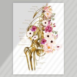RMT Office Decor, Massage Therapist Gift, Massage Therapist Graduation Gift, Massage Room Decor, Muscular System Art, Anatomy Art Set image 5