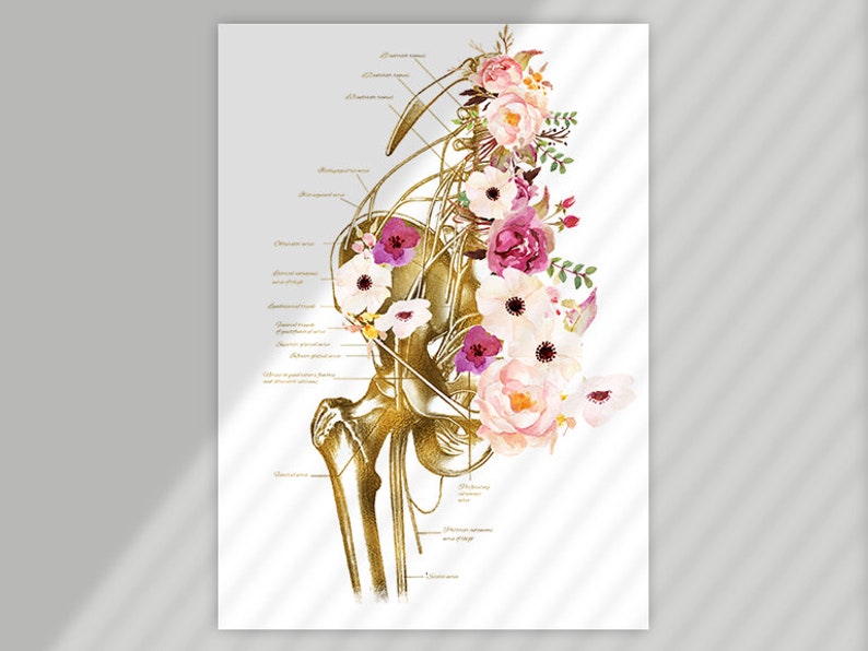 RMT Office Decor, Massage Therapist Gift, Massage Therapist Graduation Gift, Massage Room Decor, Muscular System Art, Anatomy Art Set image 5