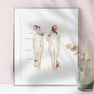 May include: A white framed print with a gold outline features a line drawing of a person's body with acupuncture points marked. The drawing is surrounded by pink and purple watercolor flowers.