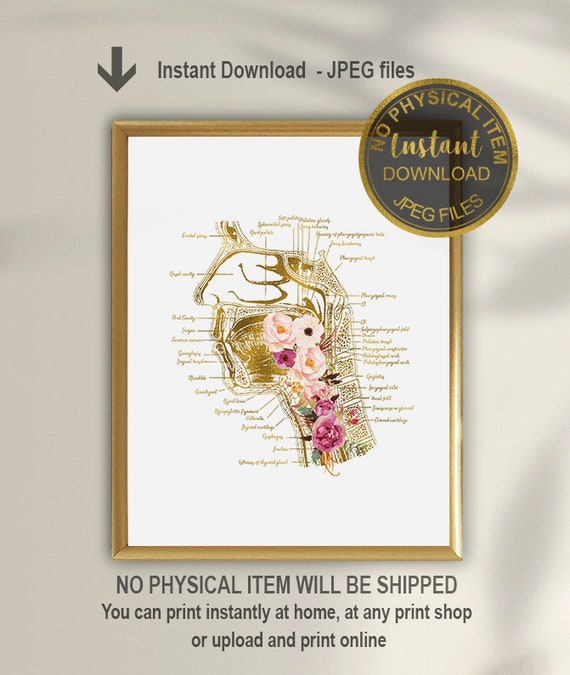 Slp Cadeau Orthophoniste Orthophoniste Orthophonie - Etsy France