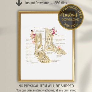 Foot Anatomy Art, Massage Therapy Art, Podiatrist Gift, DPM, Podiatry Office Decor, Podiatric Medicine Print, DPM Graduation Gift, Printable