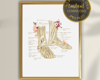 May include: A framed print featuring a detailed anatomical illustration of the foot and ankle, rendered in gold tones. Delicate floral accents adorn the illustration. The print includes text indicating it is an instant download.