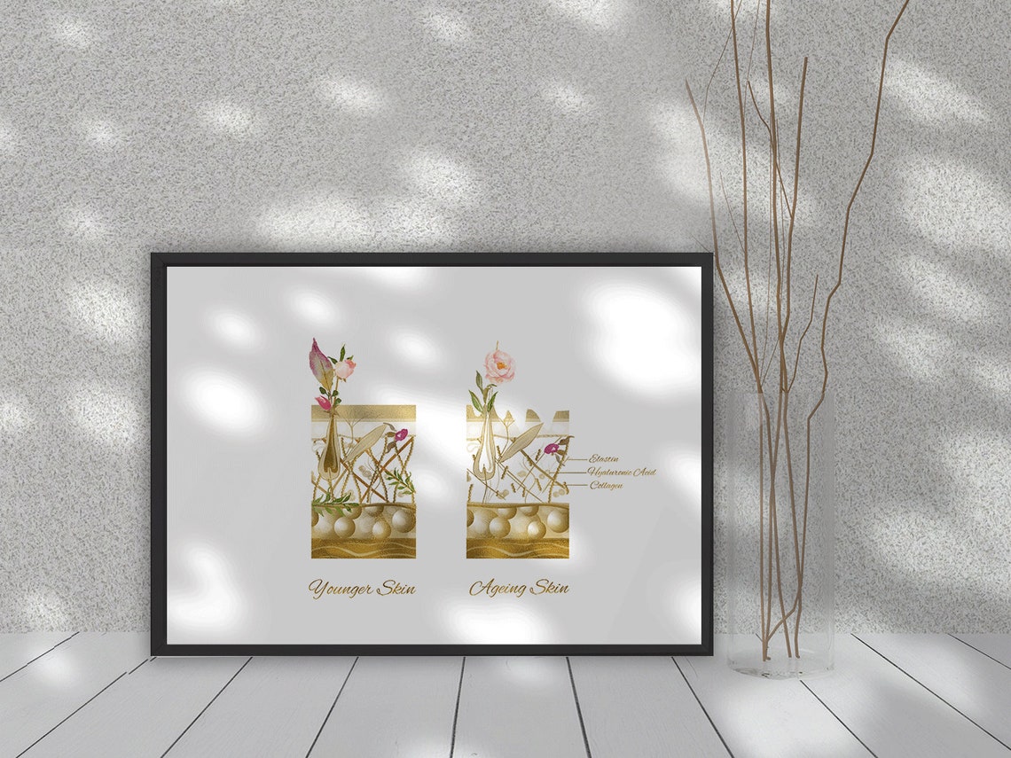 Dermatology Art Print Skin Art Younger and Ageing Skin Etsy