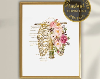 Rib Cage Anatomy Art, Skeleton Rib Cage, Chest Skeleton Art, Skeleton Print, Doctor Office Decor, Gift For Doctor, Flower Anatomy Art Print