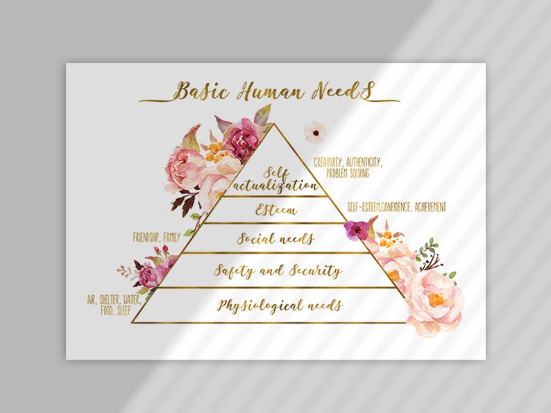 May include: A gold triangle with the words "Basic Human Needs" at the top. The triangle is divided into five sections, each with a different need listed. The needs are: Physiological needs, Safety and Security, Social needs, Esteem, and Self-actualization. The triangle is decorated with pink and white flowers.