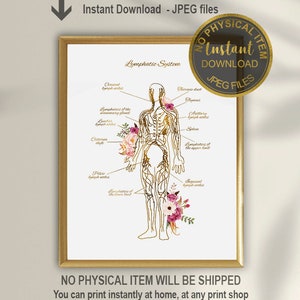 Lymphatic System Print, Endocrinology Print, Lymph nodes Anatomy Art, Doctor Gift, Endocrionologist Gift, Medical Poster, Medical Print