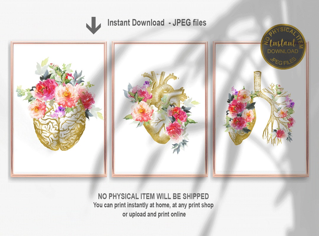 Floral Anatomy Print Set of 3, Heart Brain Lungs Wall Art Printable ...