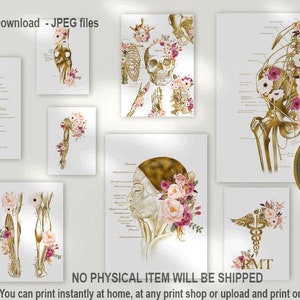 RMT Office Decor, Massage Therapist Gift, Massage Therapist Graduation Gift, Massage Room Decor, Muscular System Art, Anatomy Art Set image 1