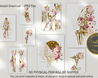 RMT Office Decor, Massage Therapist Gift, Massage Therapist Graduation Gift, Massage Room Decor, Muscular System Art, Anatomy Art Set