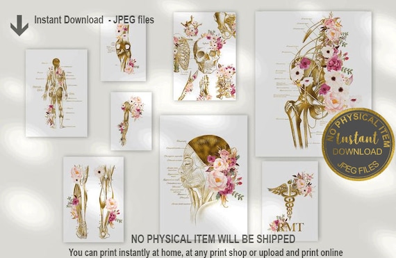 RMT Office Decor, Massage Therapist Gift, Massage Therapist Graduation Gift, Massage Room Decor, Muscular System Art, Anatomy Art Set