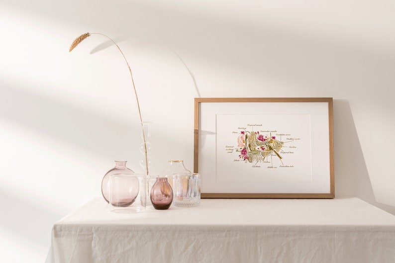 Może przedstawiać: Ilustracja botaniczna w ramie przedstawiająca kwiat z dokładnymi etykietami anatomicznymi w złotych literach. Ilustracja jest wystawiona na białym stole z wazą i innymi elementami dekoracyjnymi.