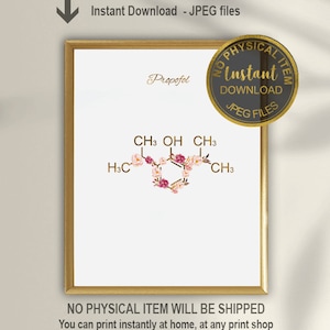 Molécula de propofol, Arte de anestesia, Regalo para anestesiólogo, Regalo para enfermero anestesista certificado, Regalo para enfermero anestesista certificado, Regalo para técnico en anestesia