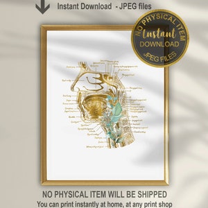 May include: A printable anatomical illustration of the human head and neck, featuring a gold foil design and botanical accents. The illustration includes labeled anatomical structures, such as the pharynx, larynx, and trachea.