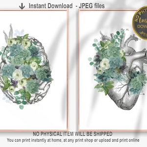 Greenery Anatomy Art Print, Succulent Anatomy Print, Doctor Gift, Printable Medical Art, Heart Art Print, Medical School Gift, Nurse Gift