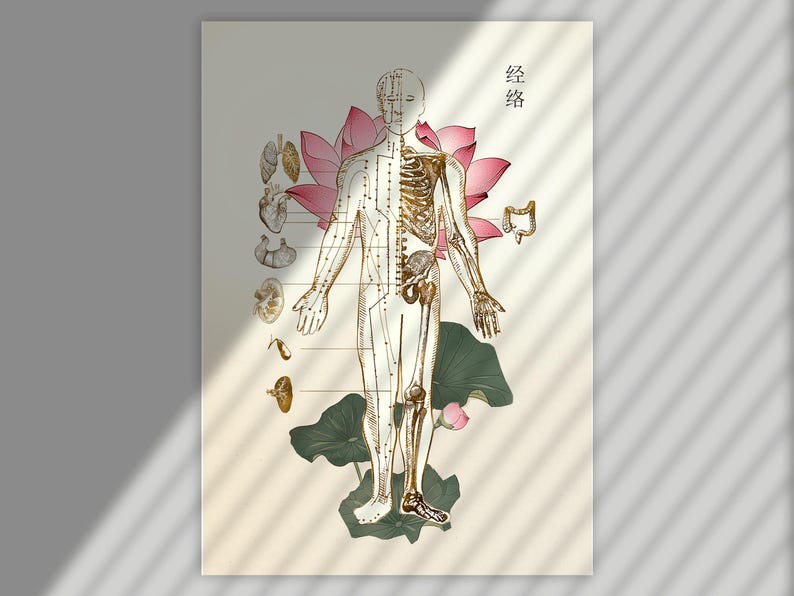 Acupuncture Points Chart Digital Download – Meridian Map for ...