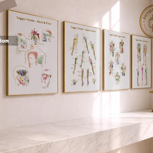 May include: Four framed anatomical posters displayed in a row, featuring detailed illustrations of human trigger points for the head, face, upper limbs, and upper body. Each white poster has gold frames and includes text labels for medical reference.