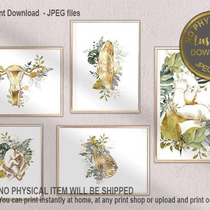 Arte de partera, impresión de arte de embarazo, regalo de doula, decoración de oficina de partera, impresión de arte de placenta, impresión de feto, descarga instantánea, arte de obstetricia, regalo de obstetricia