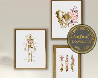 Floral Bone Anatomy Art Print, Human Skeleton Anatomy Poster, Medical Anatomy Wall Art, Orthopedic Anatomy Illustration, Digital Download