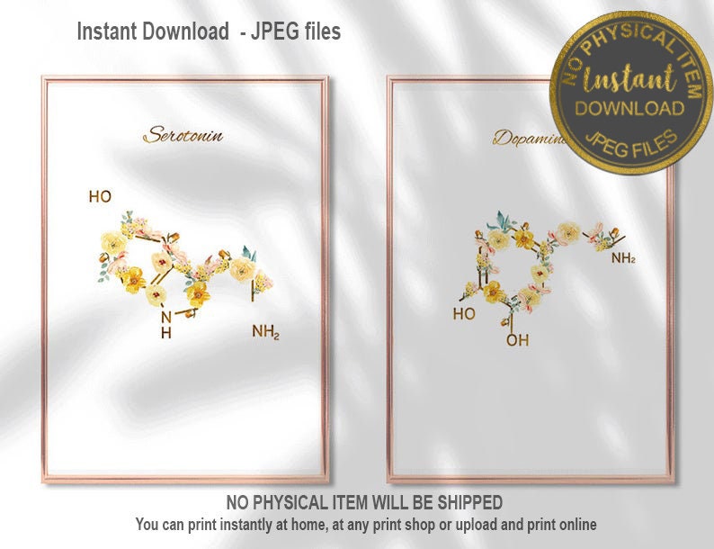 Download Serotonin Art Print Dopamine Print Psychology Art Hormones ...