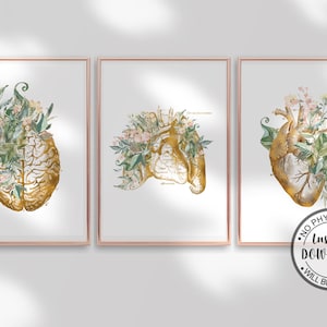 Medical Art Prints Set of 3, Human Anatomy Poster with Anatomical Heart & Brain, Floral Doctor Wall Art, Nurse Gift, Medical Office Decor