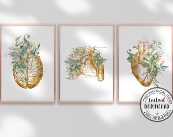 Human Anatomy Art Human Body Posters, Anatomy Wall Prints, Educational Medical Print, Doctor Office Decor, Floral Style Anatomy Poster, Set