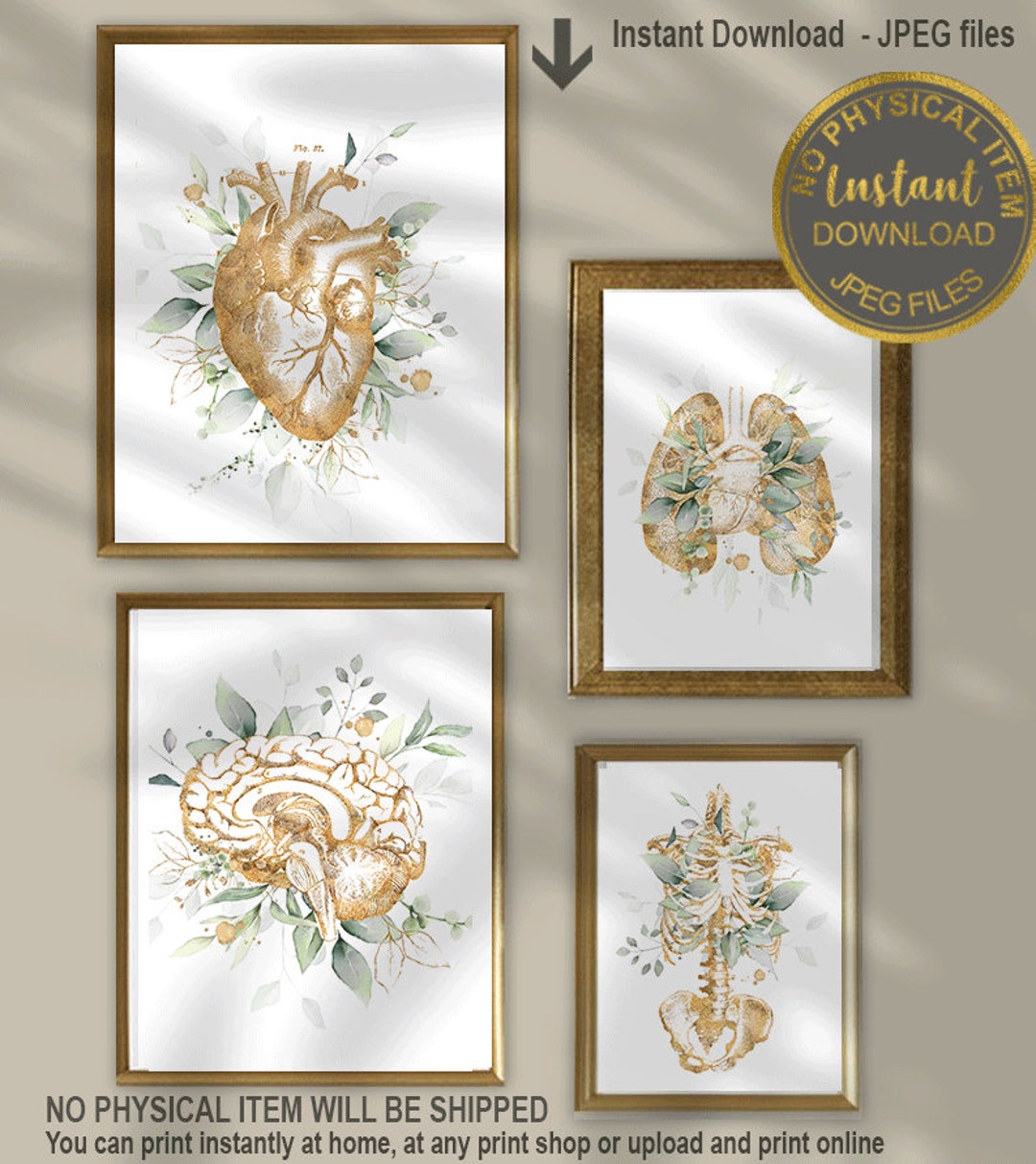 Printable Anatomy Art, Doctor Office Decor, Heart, Brain, Lungs