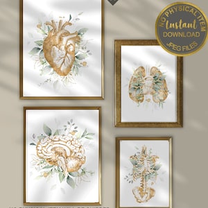 Printable Anatomy Art, Doctor Office Decor, Heart, Brain, Lungs, Caduceus, Doctor Gift, Medical Student Gift, Anatomy Artwork, Medical Art