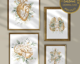 Anatomy Art Set, Medical Office Decor, Human Anatomy Poster, Doctor Office Wall Art, Nurse Gift, Clinic Decor Set of 4