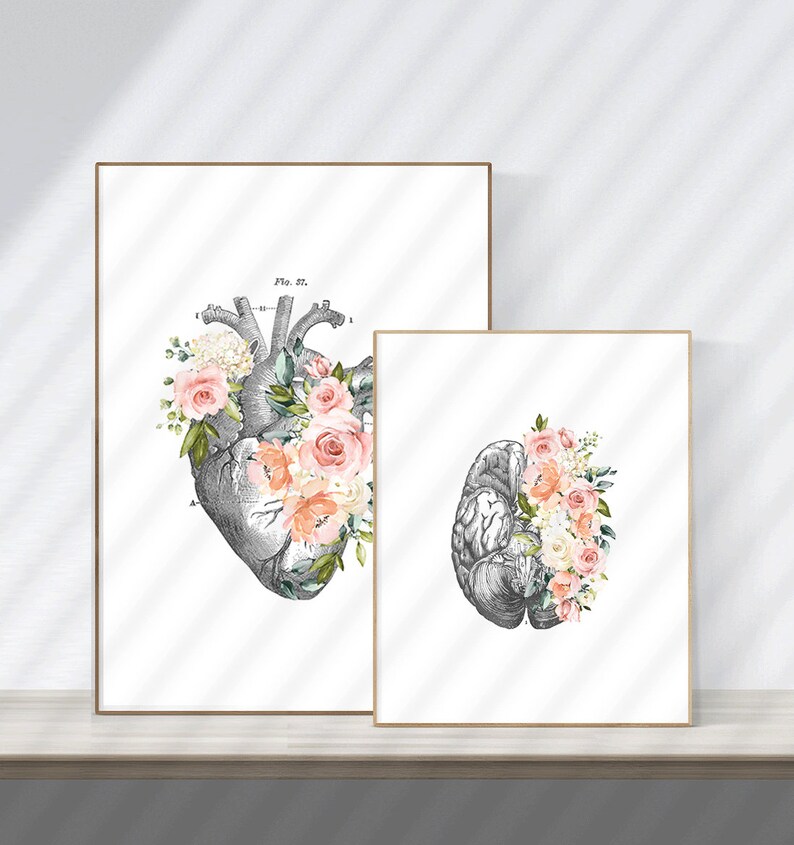 Doctor Gift Medical Art Anatomy Art Anatomy Artwork Doctor Etsy
