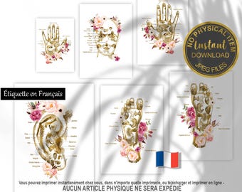French Reflexology Charts Printable Set, Foot Hand Ear Face Reflexology Poster, Massage Therapist Office Decor, Reflexologie Guide JPG
