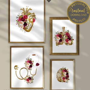 May include: Set of four printable digital art prints featuring anatomical illustrations of the heart, lungs, brain, and stethoscope, each adorned with watercolor flowers in shades of burgundy, pink, and white.