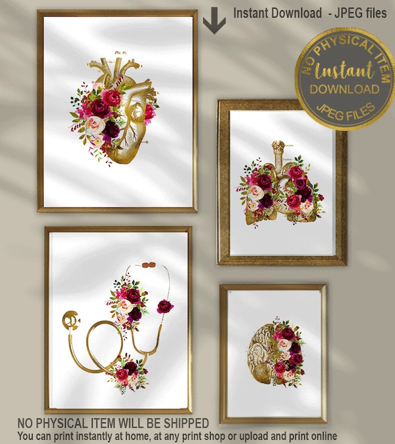 Floral Anatomy Art Set of 4, Heart, Brain Stethoscope, Lungs, Medical Office Decor, Clinic Decor, Doctor Gift, Medical Art Set, Nurse Gift